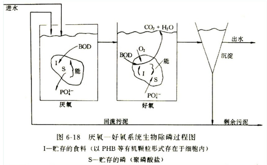 污水厂出口磷超标的解决方法(一)生物除磷 污水厂出口磷超标的解决方法(一)生物除磷