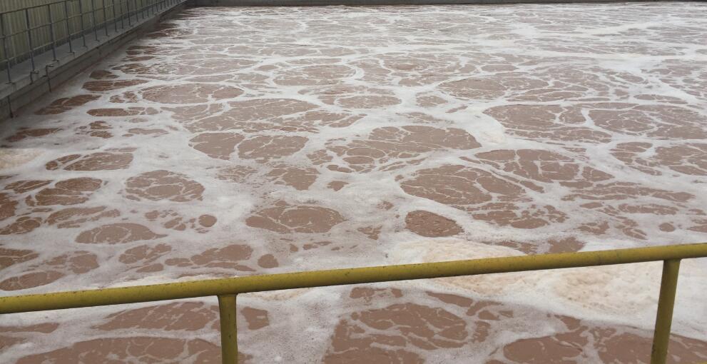 污水泡沫 污水泡沫