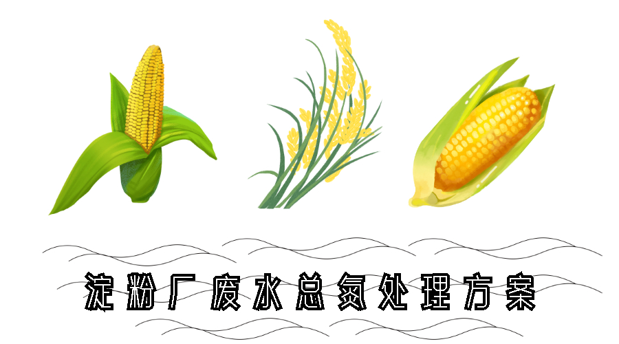 淀粉厂废水总氮超标处理 淀粉厂废水总氮超标处理